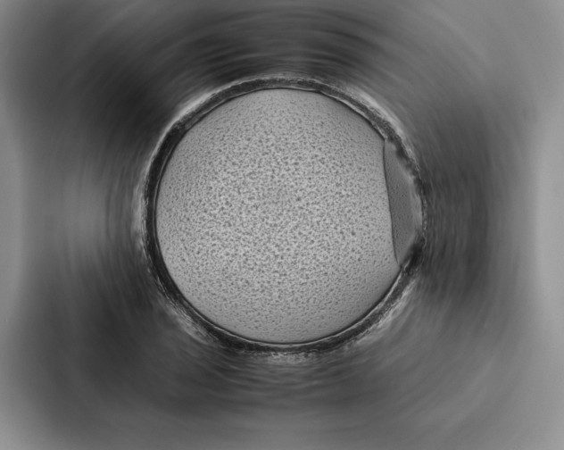 X0000086891029200705141618