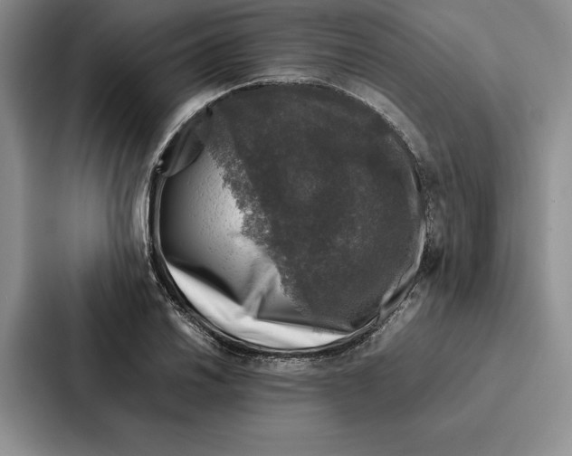 X0000086891030200705141618