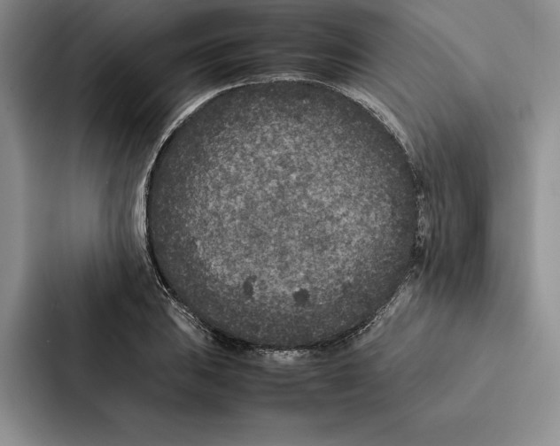 X0000086891031200705141618