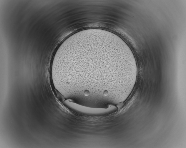 X0000086891033200705141618