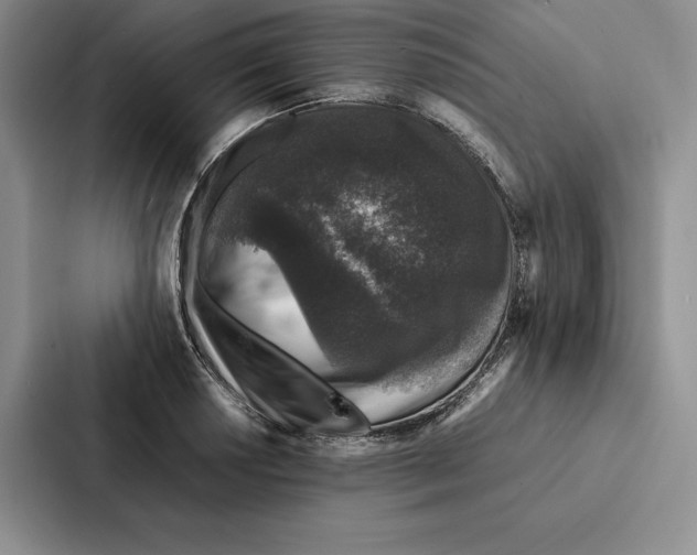 X0000086891034200705141618