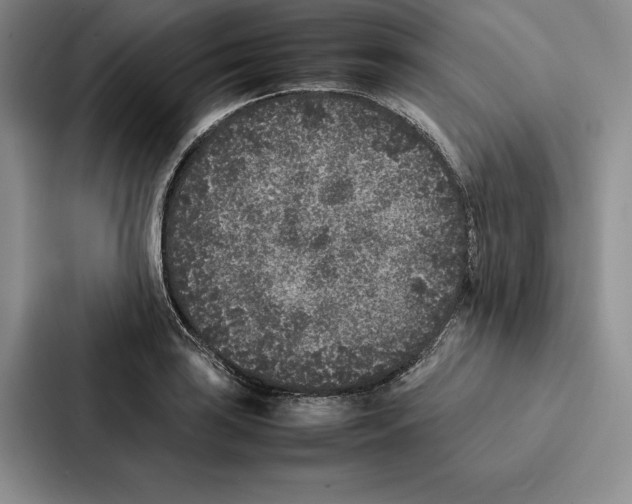 X0000086891035200705141618