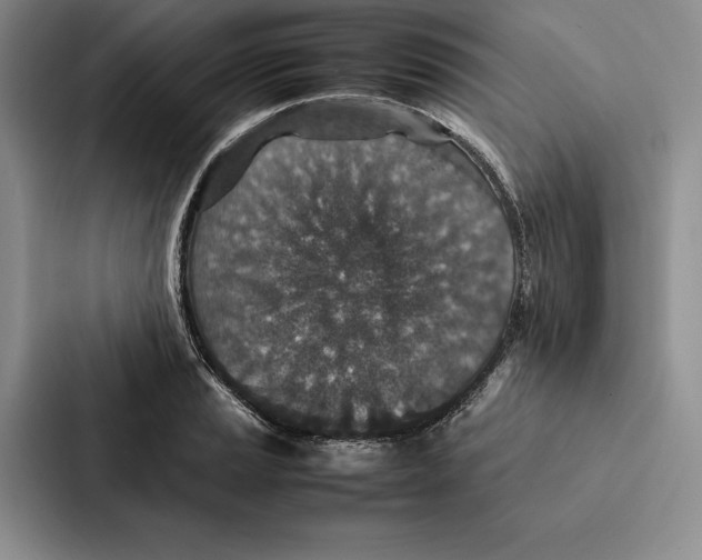 X0000086891037200705141618