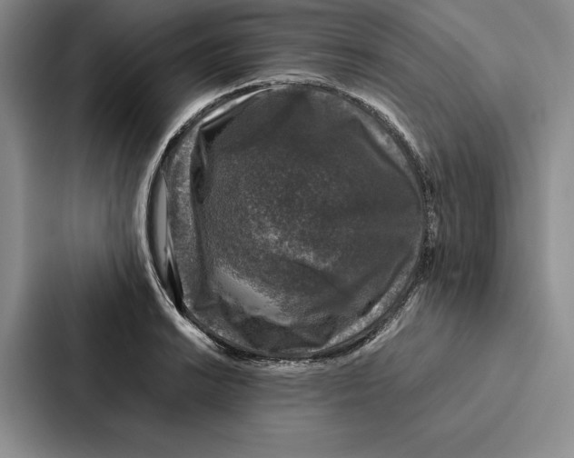 X0000086891038200705141618