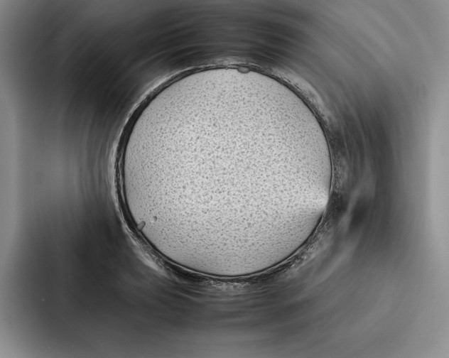 X0000086891039200705141618