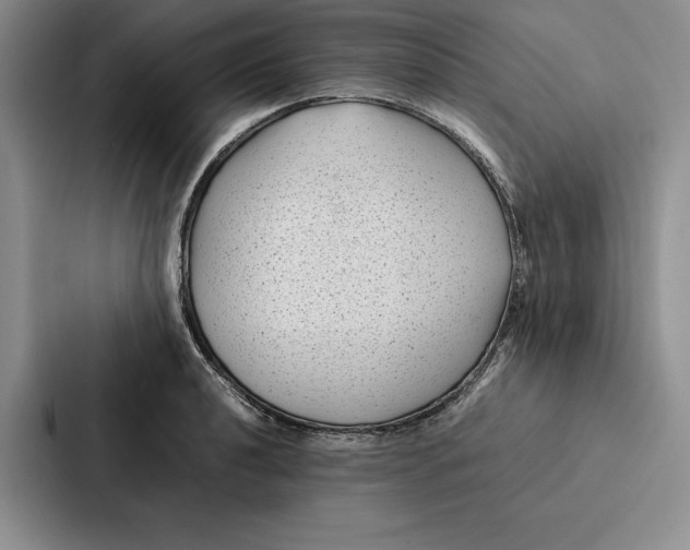 X0000086891040200705141618