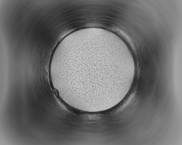 X0000086891041200705141618