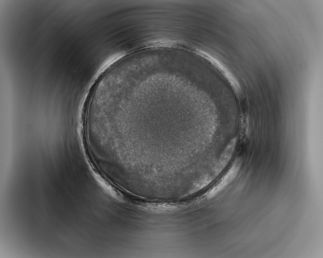 X0000086891042200705141618