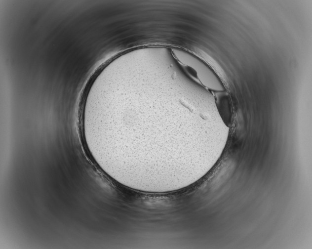 X0000086891043200705141619