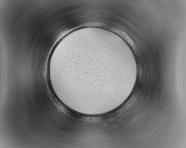 X0000086891044200705141619