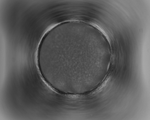 X0000086891045200705141619