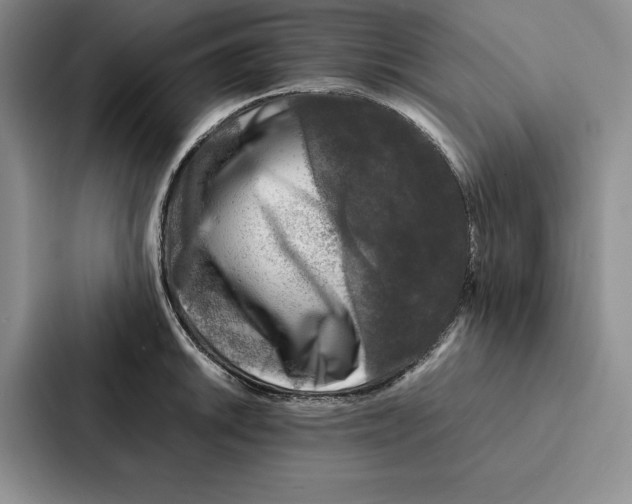 X0000086891046200705141619