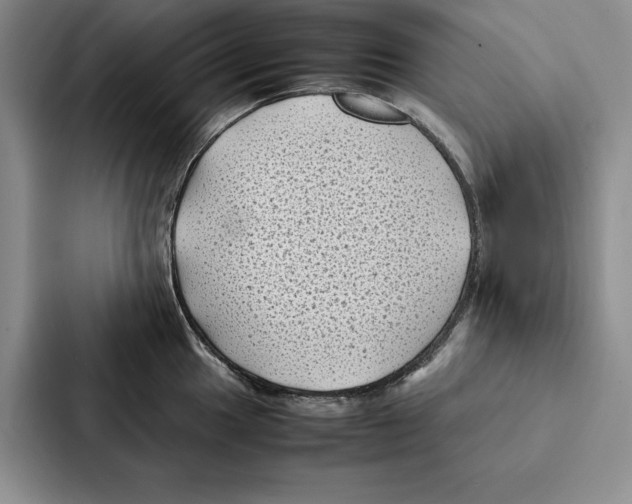 X0000086891049200705141619