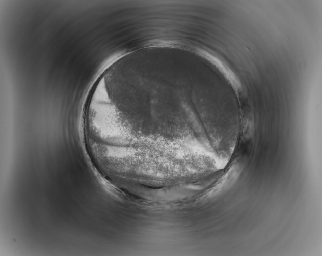 X0000086891050200705141619