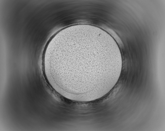 X0000086891051200705141619