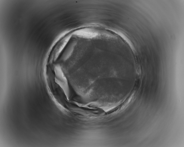 X0000086891054200705141619