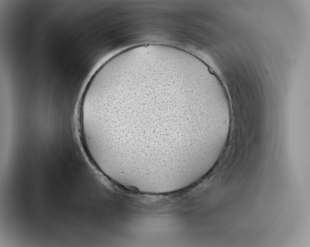 X0000086891056200705141619