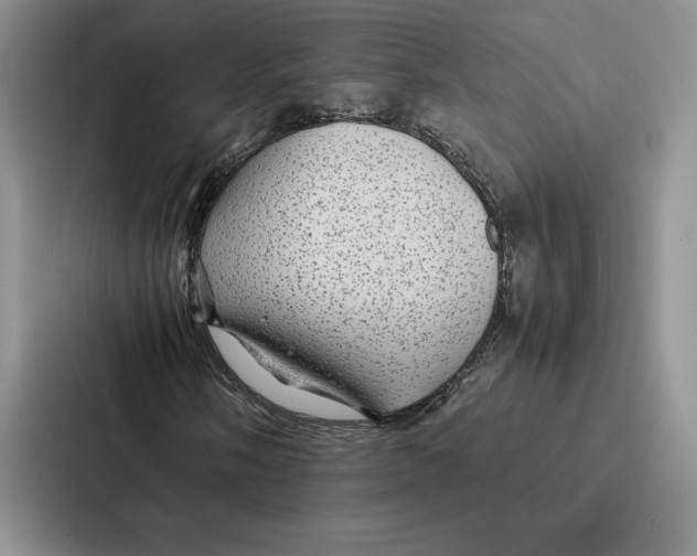 X0000086891058200705141618