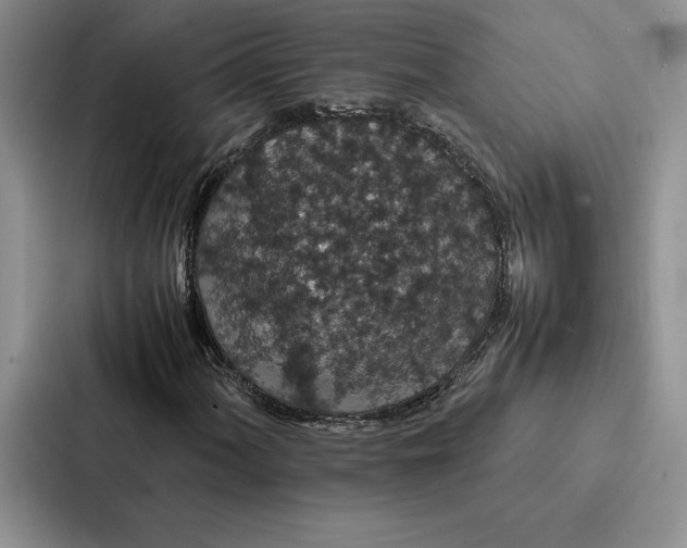 X0000086891060200705141618