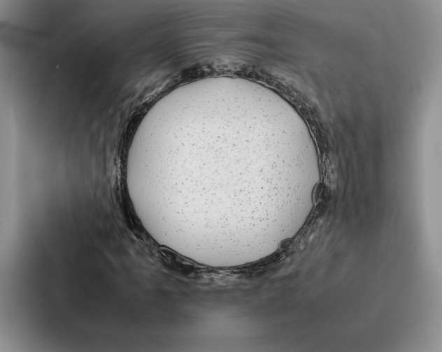 X0000086891061200705141618