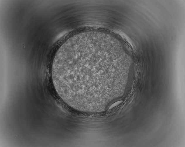 X0000086891064200705141618