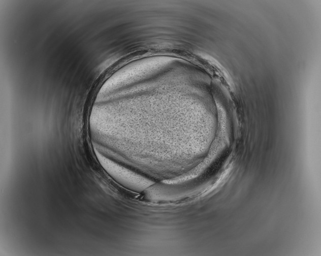 X0000086891065200705141618