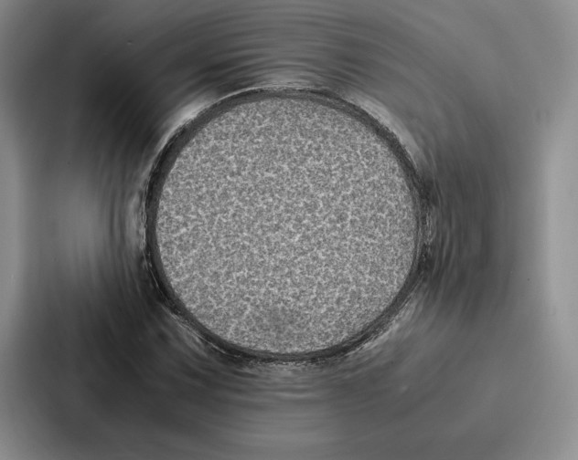 X0000086891067200705141618