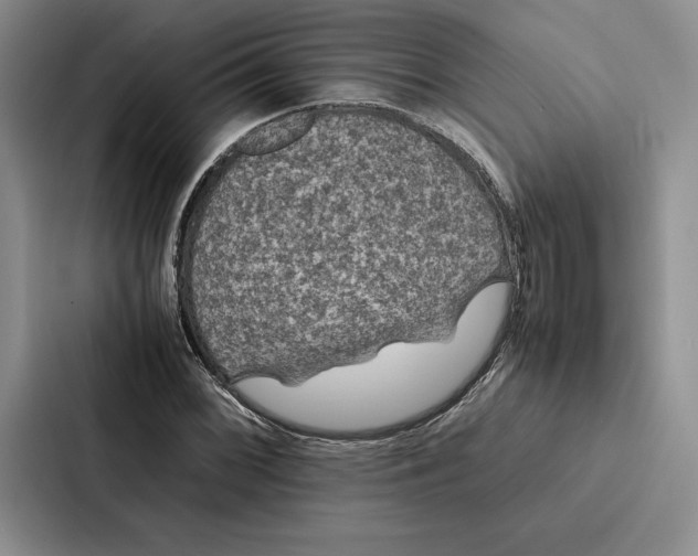 X0000086891068200705141618