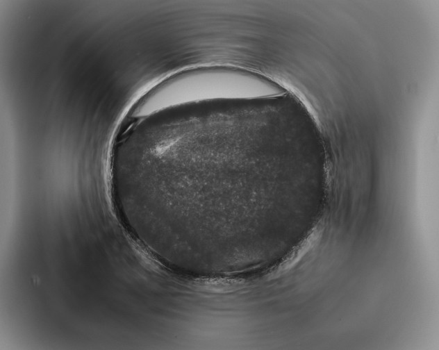 X0000086891077200705141618