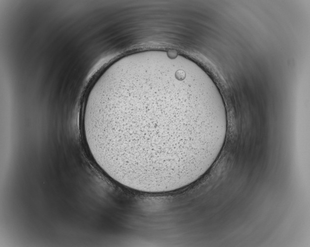 X0000086891078200705141618