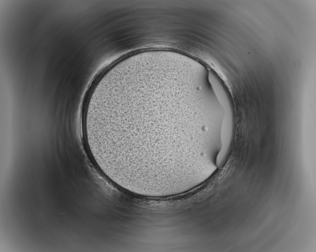 X0000086891080200705141618