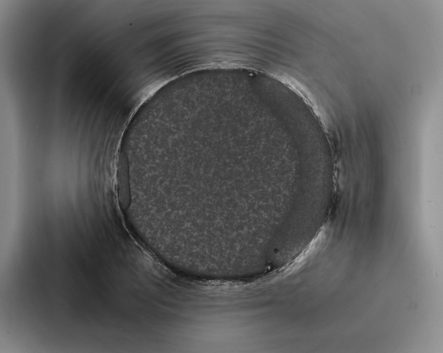 X0000086891081200705141618