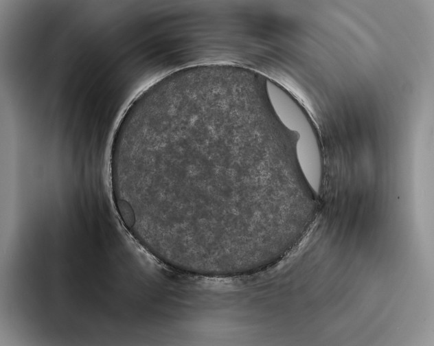 X0000086891088200705141618