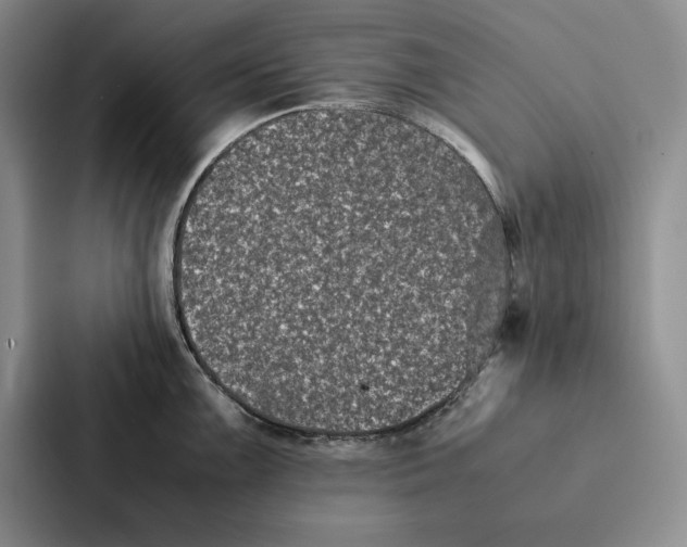 X0000086891099200705141618