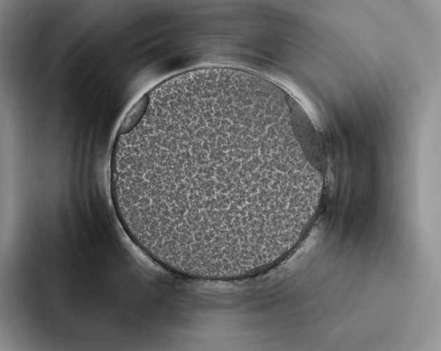 X0000086891100200705141617