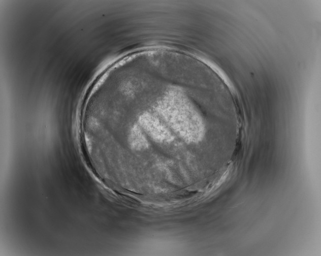 X0000086891101200705141617