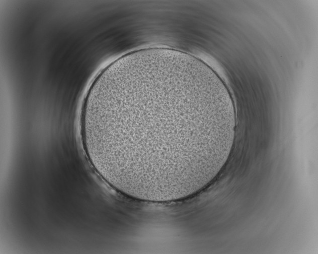 X0000086891104200705141617