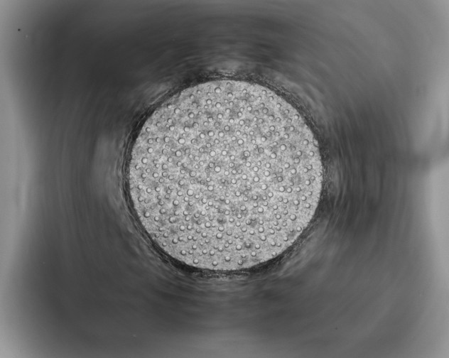 X0000086891105200705141617