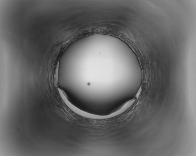 X0000086891109200705141617