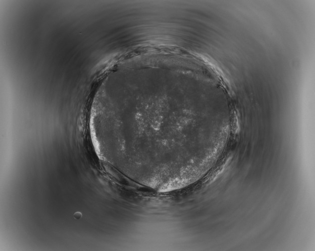 X0000086891110200705141617