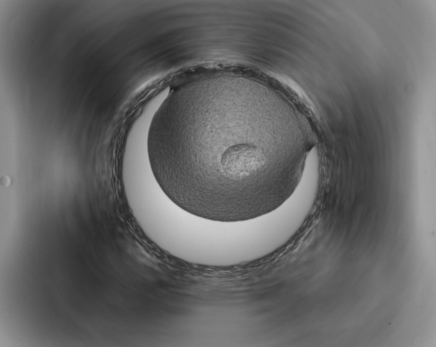 X0000086891112200705141617