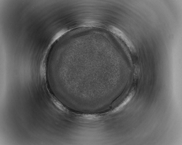 X0000086891114200705141617