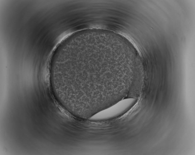 X0000086891115200705141617