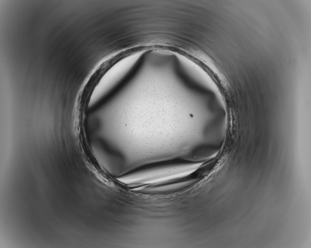 X0000086891116200705141617