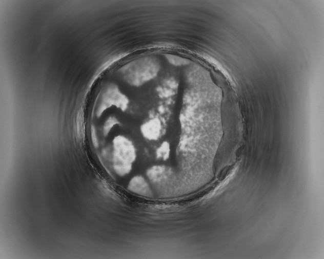 X0000086891117200705141617