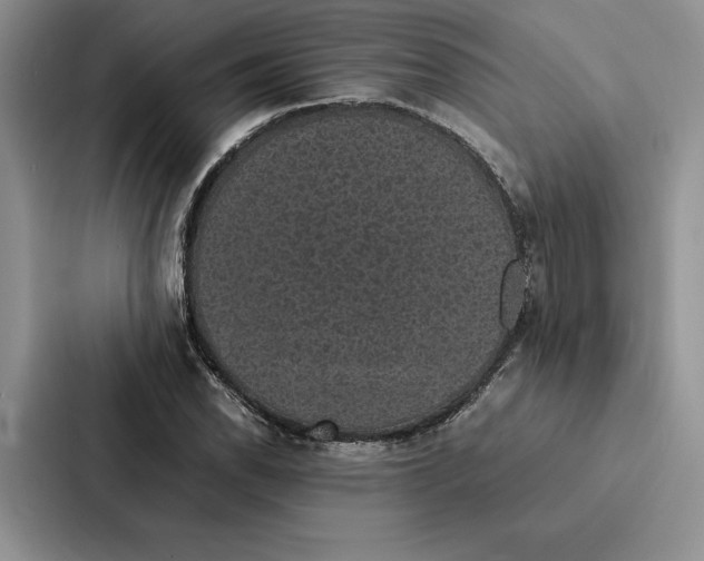 X0000086891118200705141617