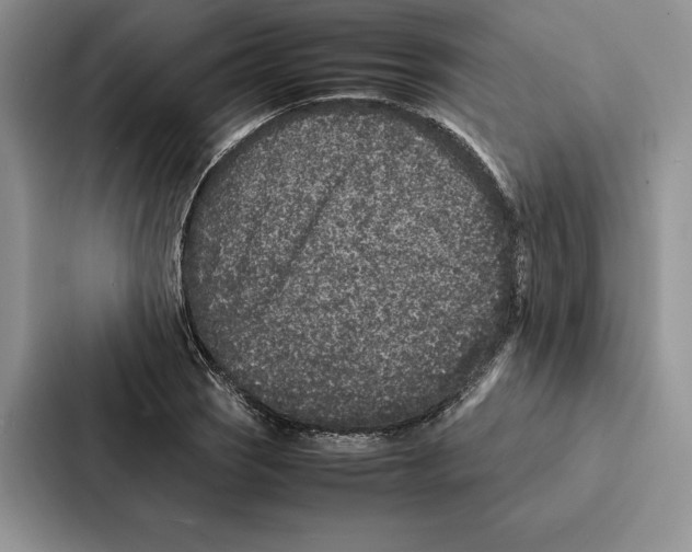 X0000086891121200705141617