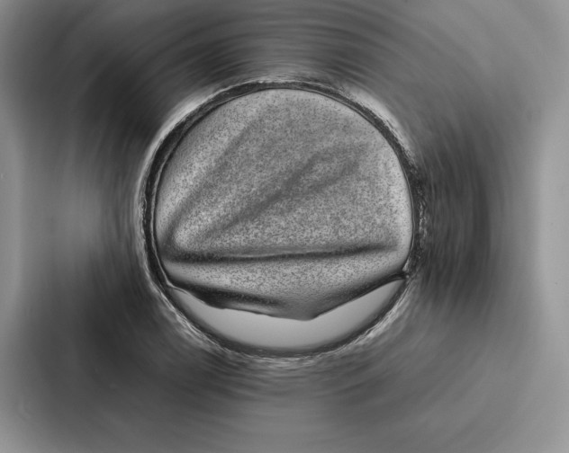 X0000086891122200705141617