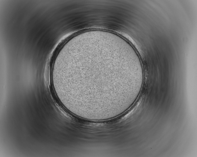 X0000086891123200705141617