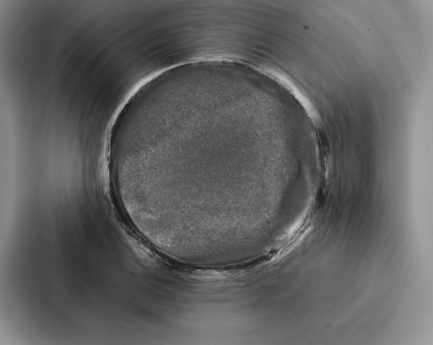 X0000086891124200705141617